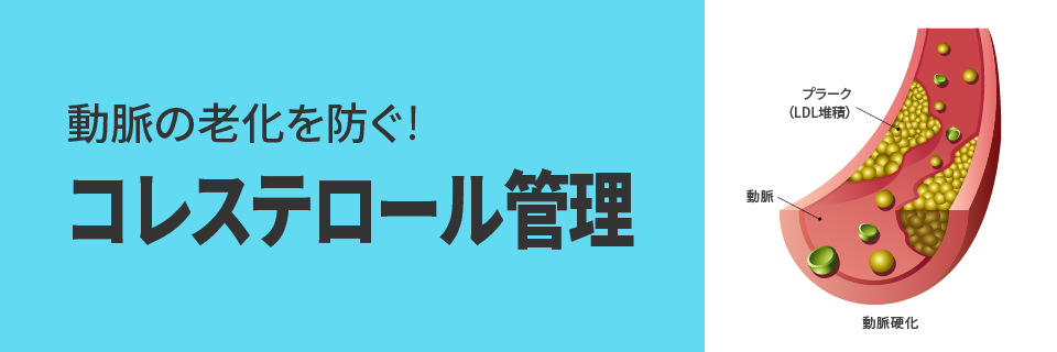 動脈の老化を防ぐ!|コレステロール管理