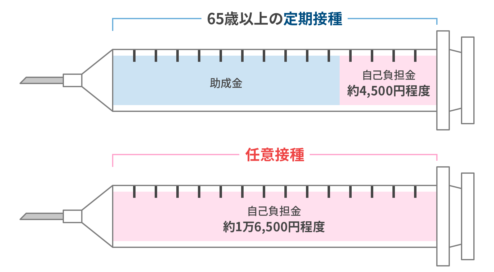 65歳以上の定期接種と任意接種