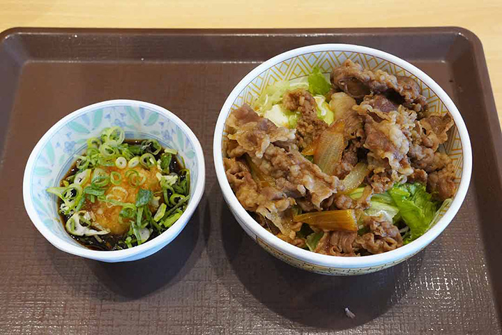 ねぎ玉牛丼ライト（並盛）