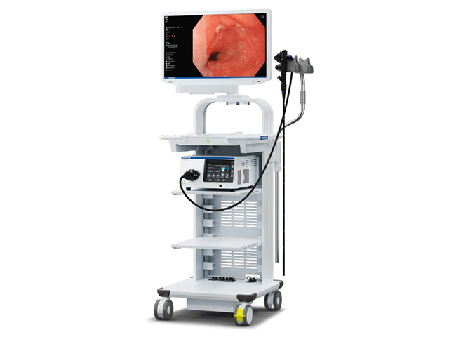 大腸内視鏡（大腸カメラ）
