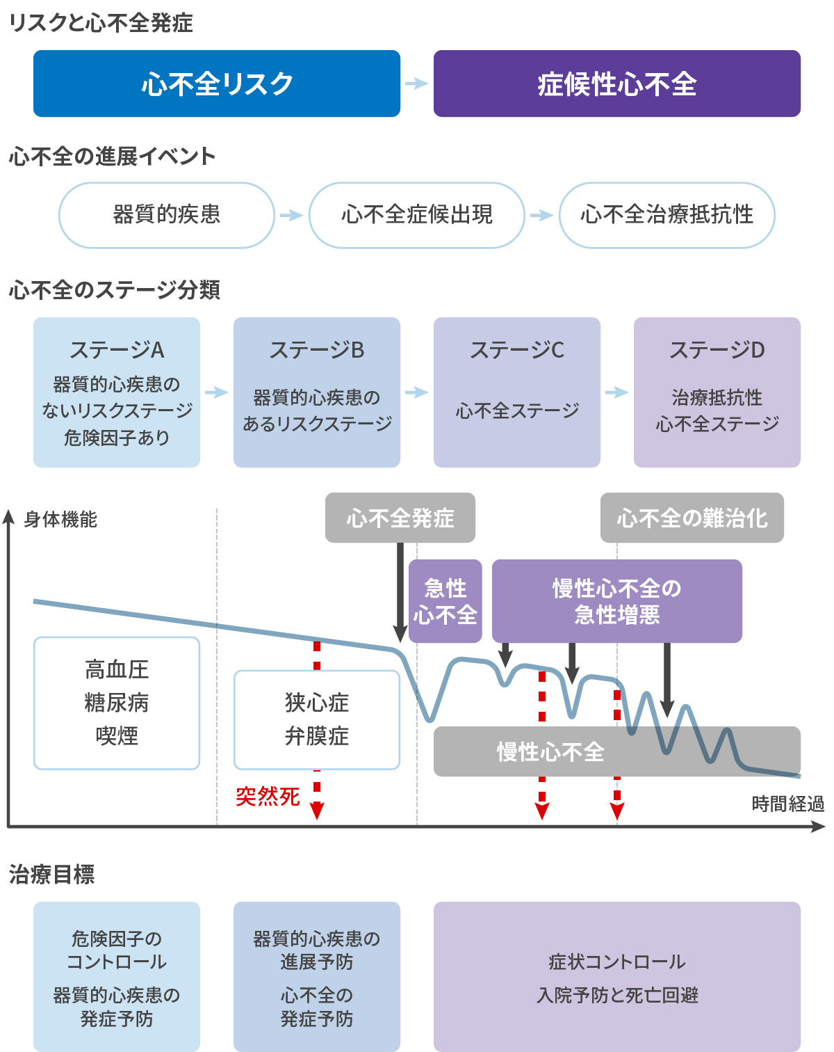 心不全とそのリスクの進展ステージ　
