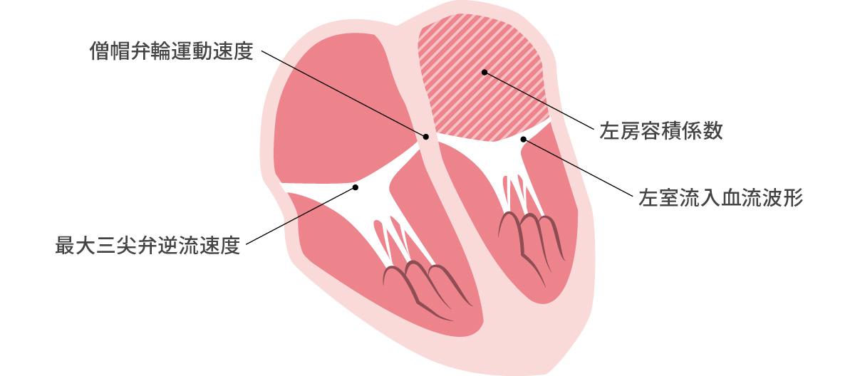 拡張能を評価する5項目