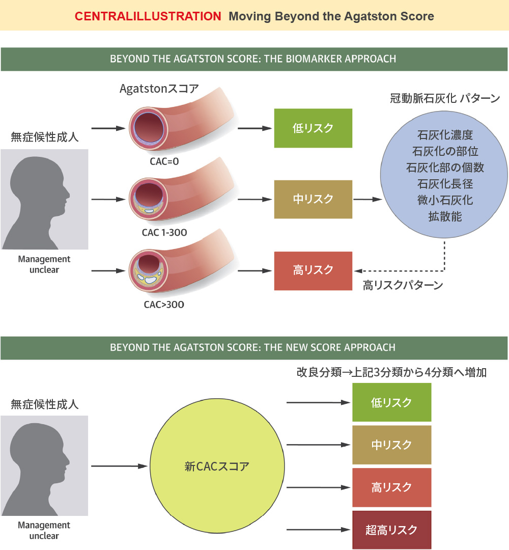 症状はないが、現在の冠動脈石灰化から、未来の狭心症・心筋梗塞を予測する！
