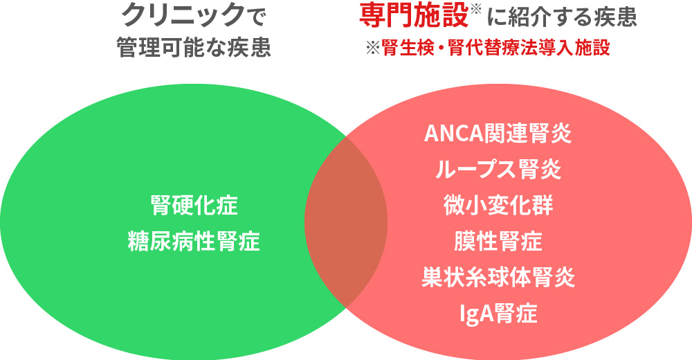 腎臓病の原因疾患