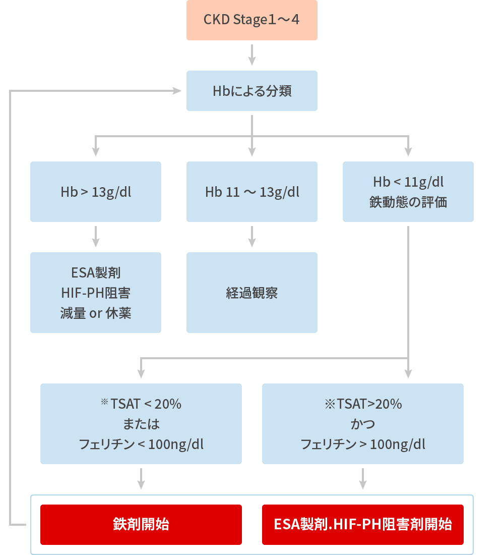保存期CKD患者の貧血治療
