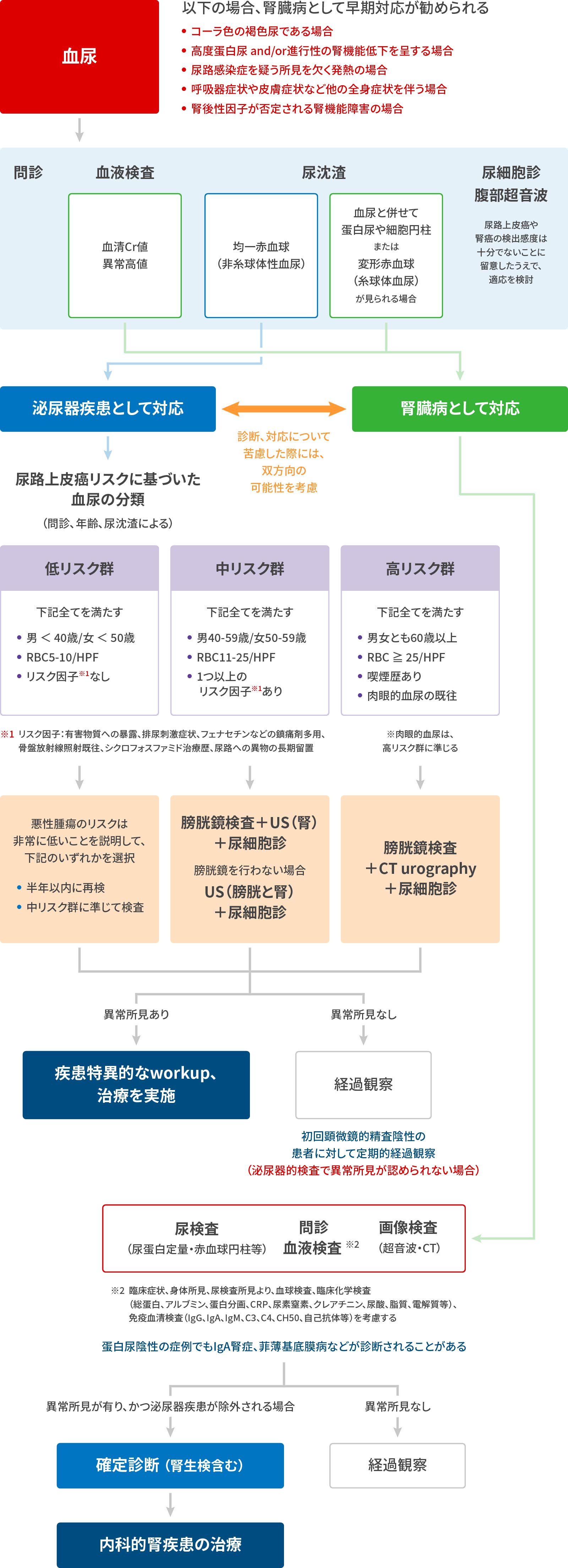 血尿診断ガイドライン 2023